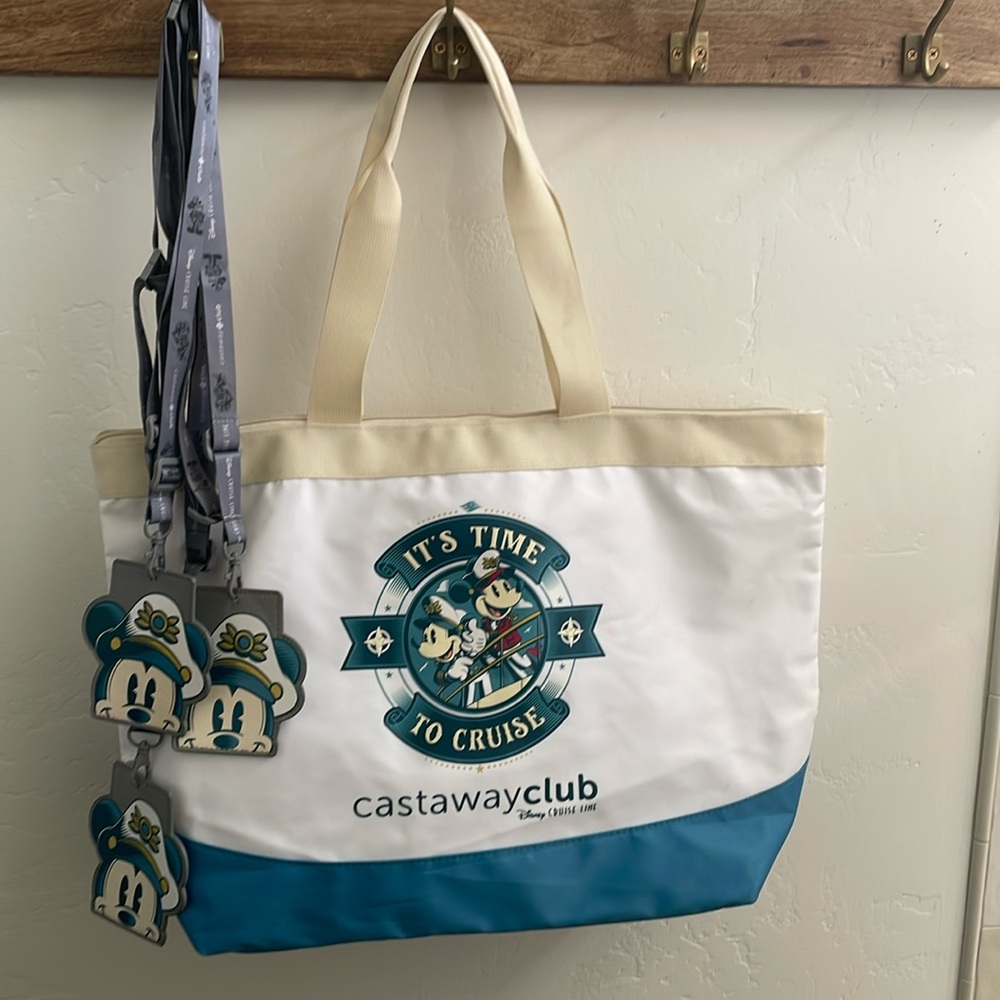 Disney Cruise bag and lanyards!
